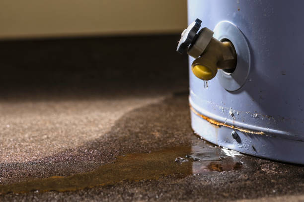 Best Basement water damage restoration  in Warsaw, IL