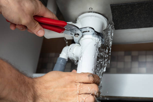 Best Flooded house restoration  in Warsaw, IL
