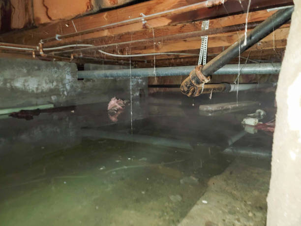 Trusted Warsaw, IL Water damage restoration Experts