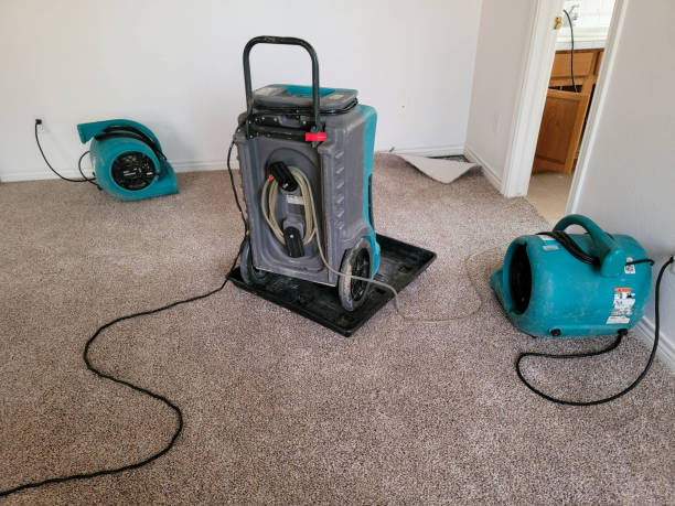 Best Water damage restoration near me  in Warsaw, IL