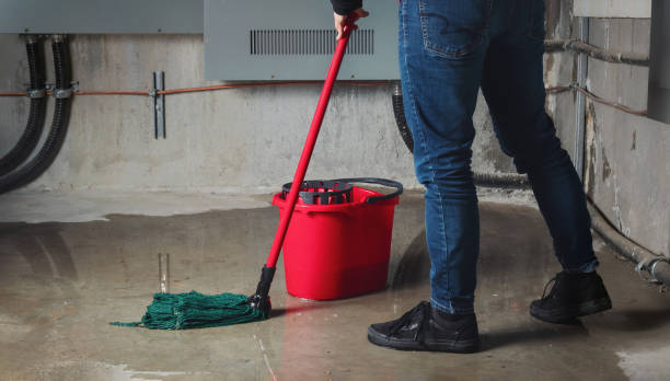 Best Water damage cleanup near me  in Warsaw, IL