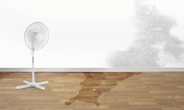 Best Sewage cleanup and water damage restoration  in Warsaw, IL