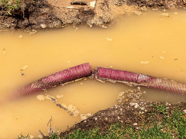 Best Emergency water damage restoration  in Warsaw, IL