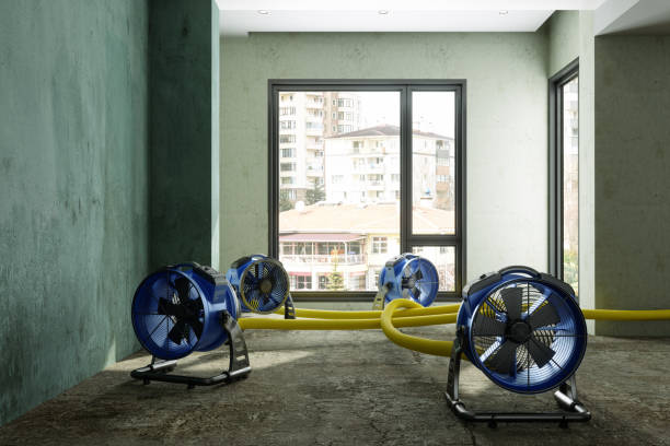 Best Water damage restoration insurance claims  in Warsaw, IL